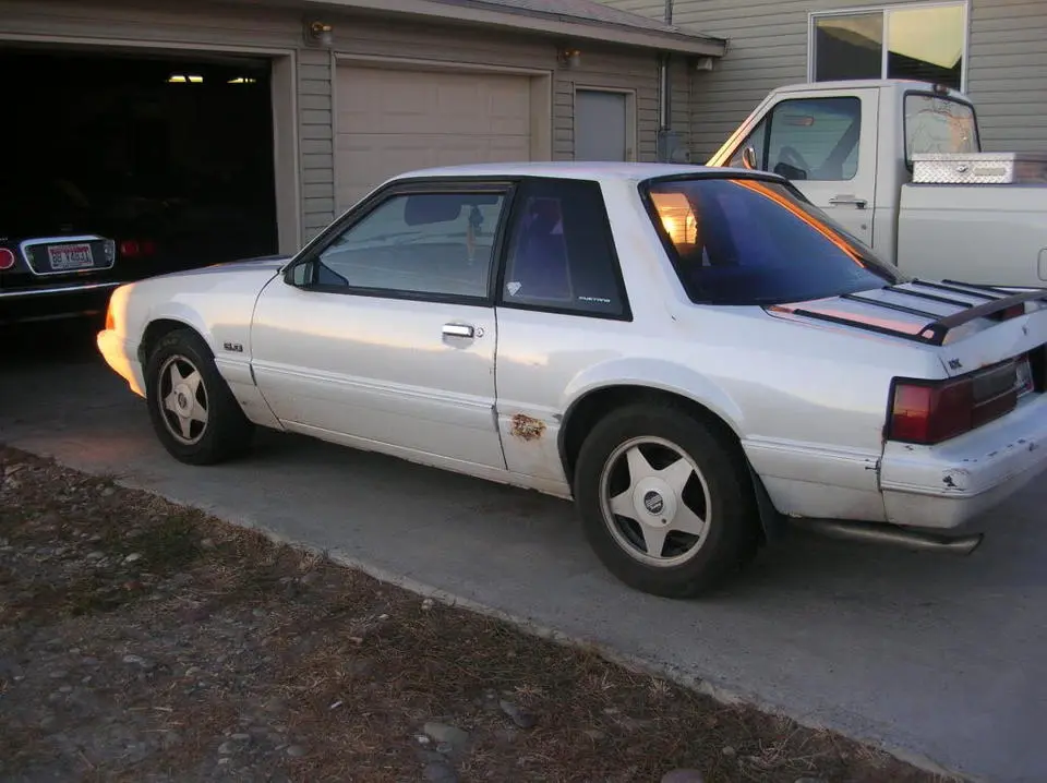 mustang002.webp
