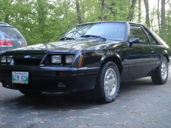 mustang002.webp