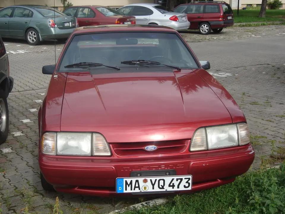 mustang002.webp