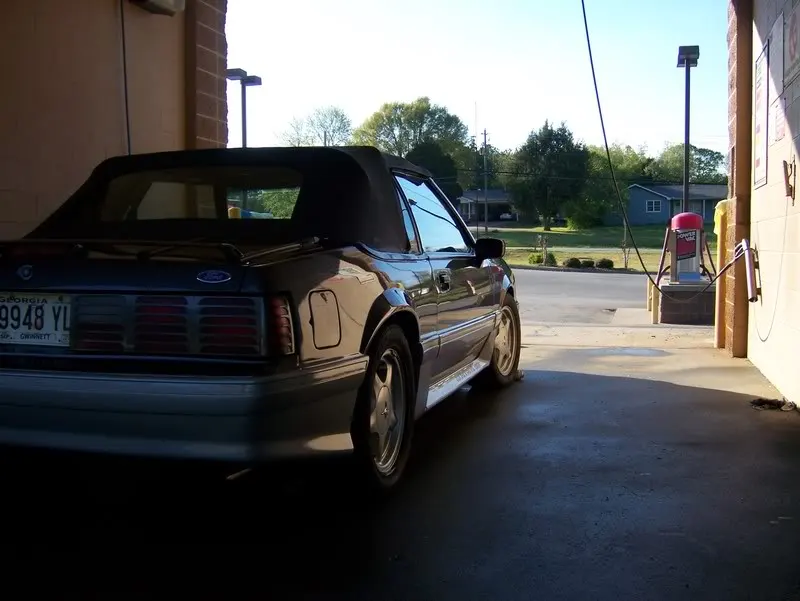 mustang002.webp