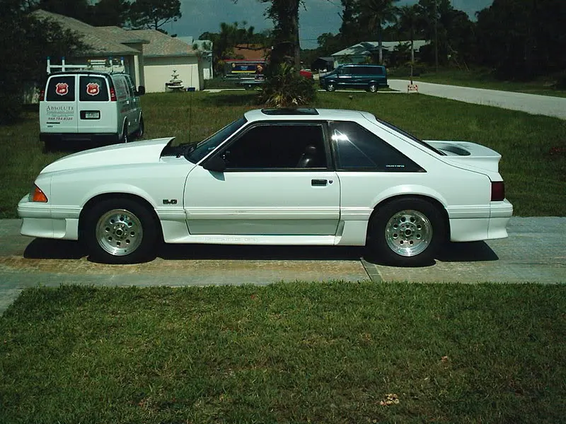 mustang002.webp