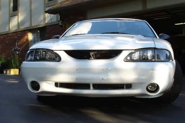 mustang002.webp