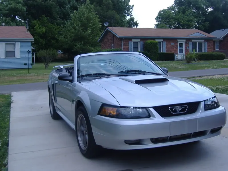 Mustang002.webp