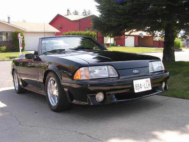 Mustang002.webp