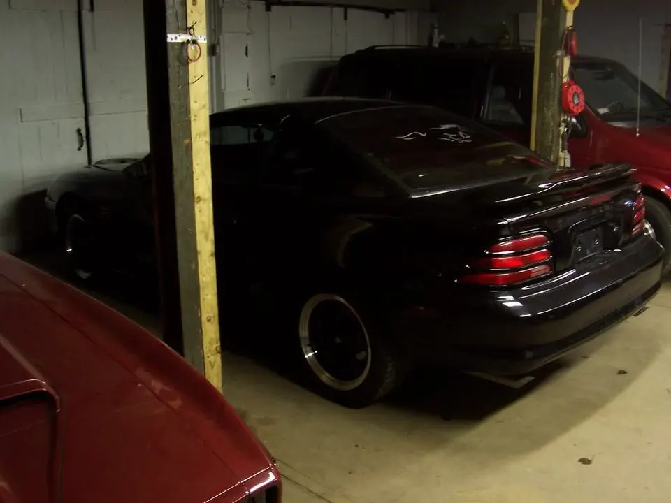 Mustang002.webp