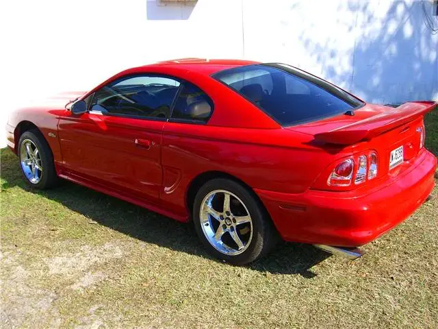 mustang002_Small.webp