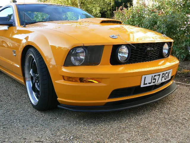 mustang003-1.webp