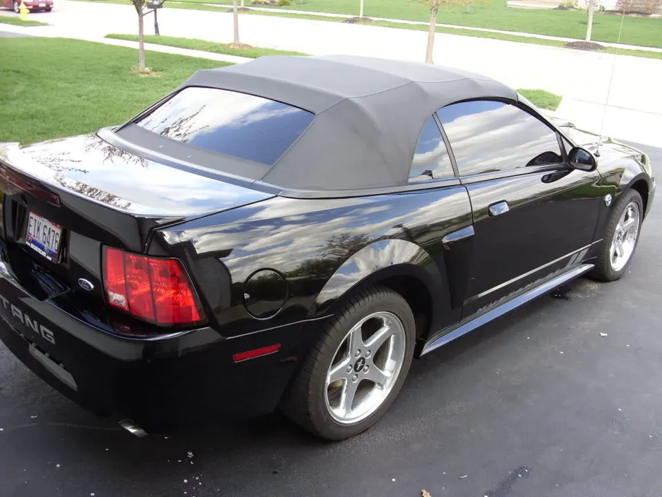 Mustang003.webp