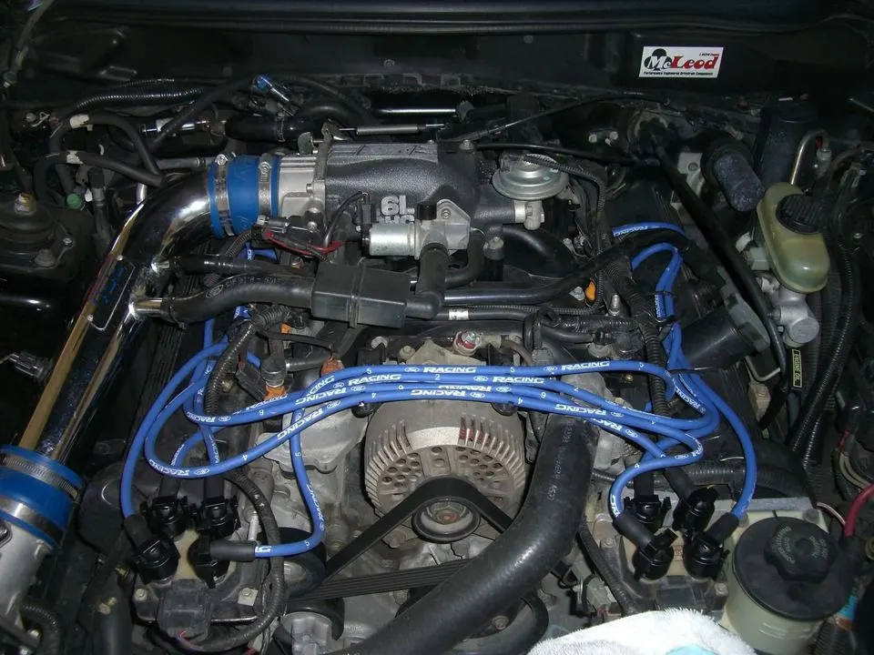 Mustang003.webp