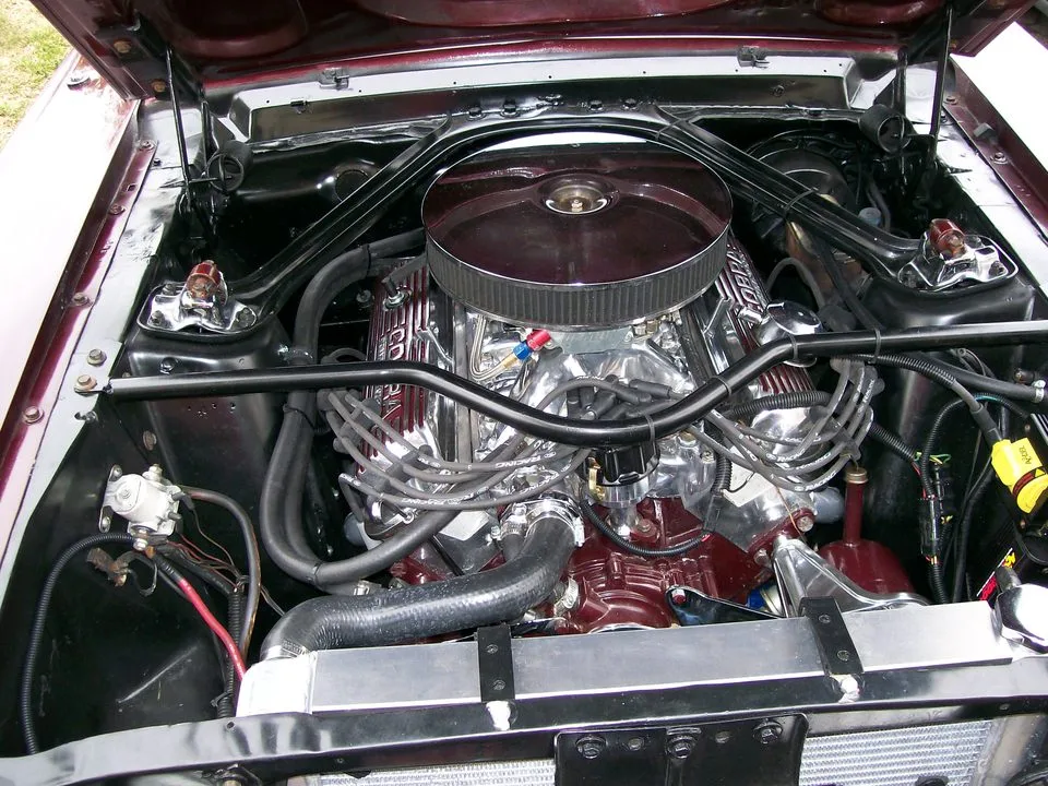 mustang003.webp