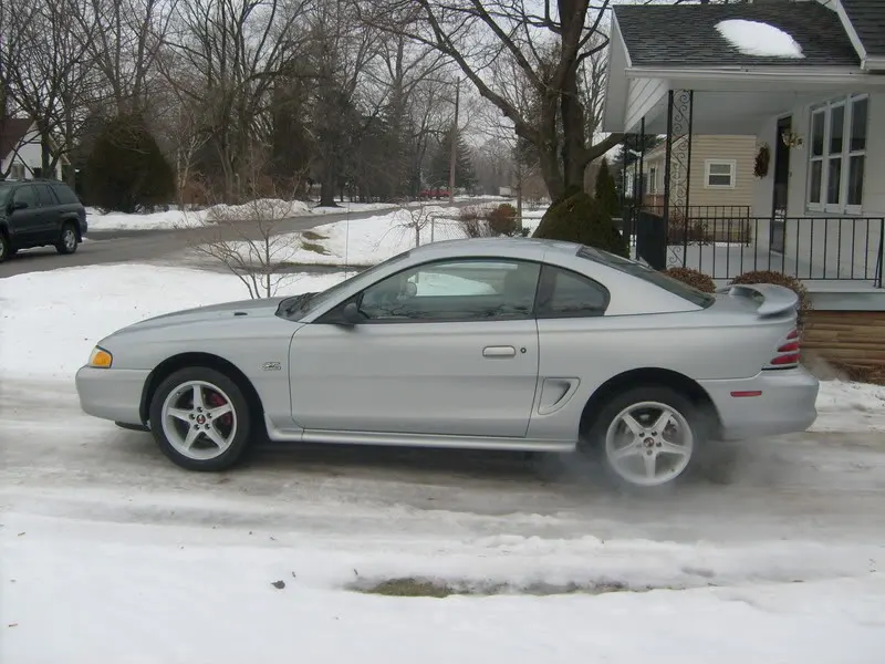 Mustang003.webp