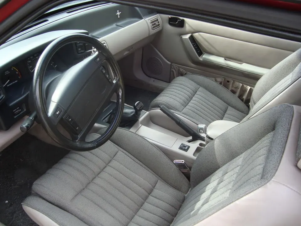 mustang003.webp