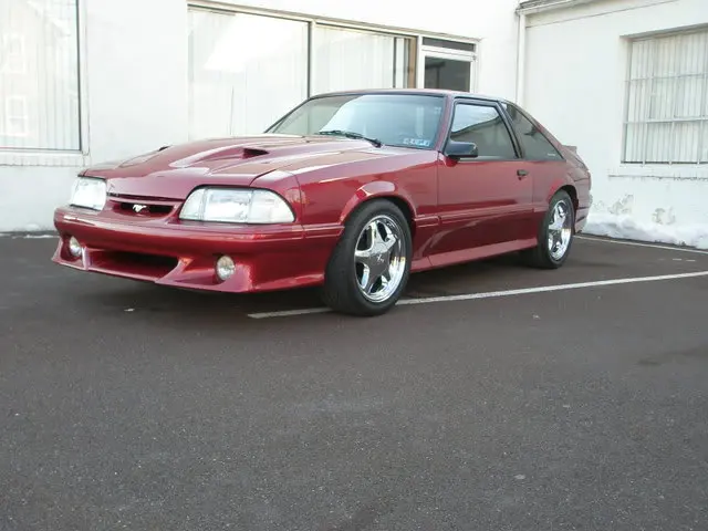 mustang003.webp