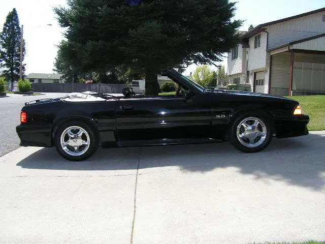 Mustang003.webp