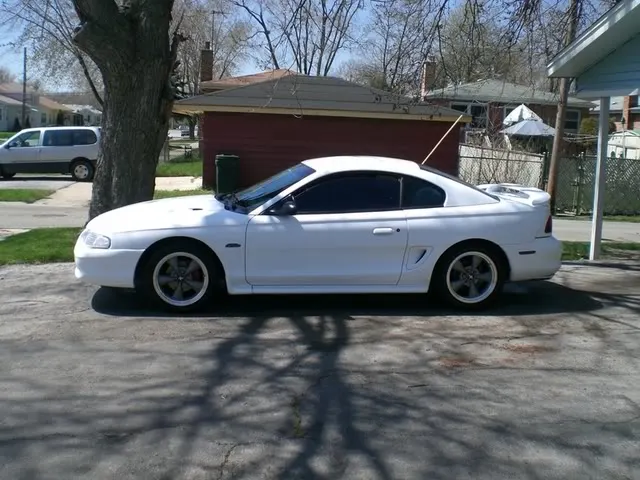 mustang003.webp