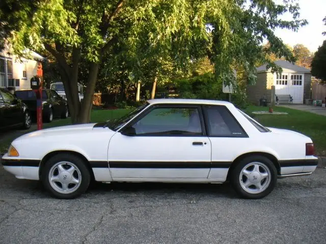 mustang003.webp