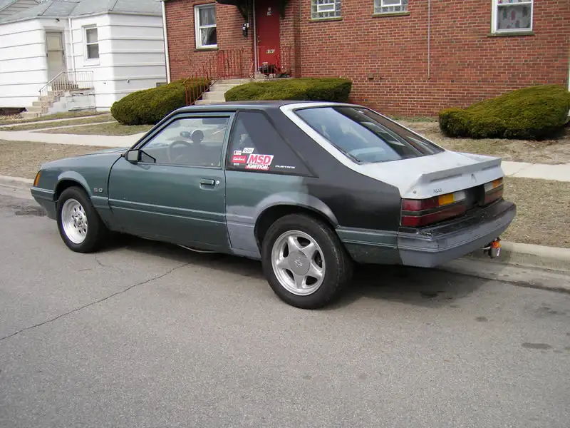 mustang003copy.webp