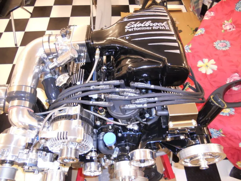 mustang004.webp