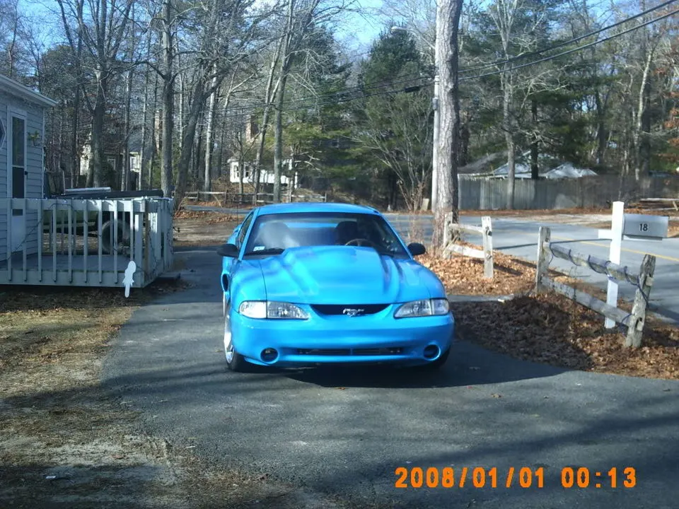 mustang004.webp