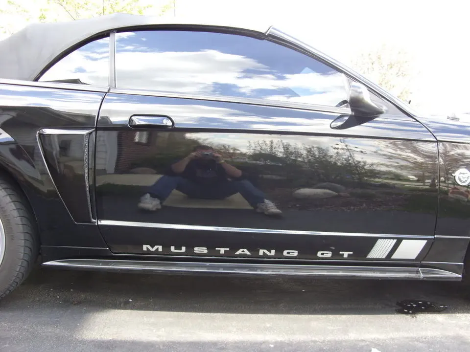 Mustang004.webp