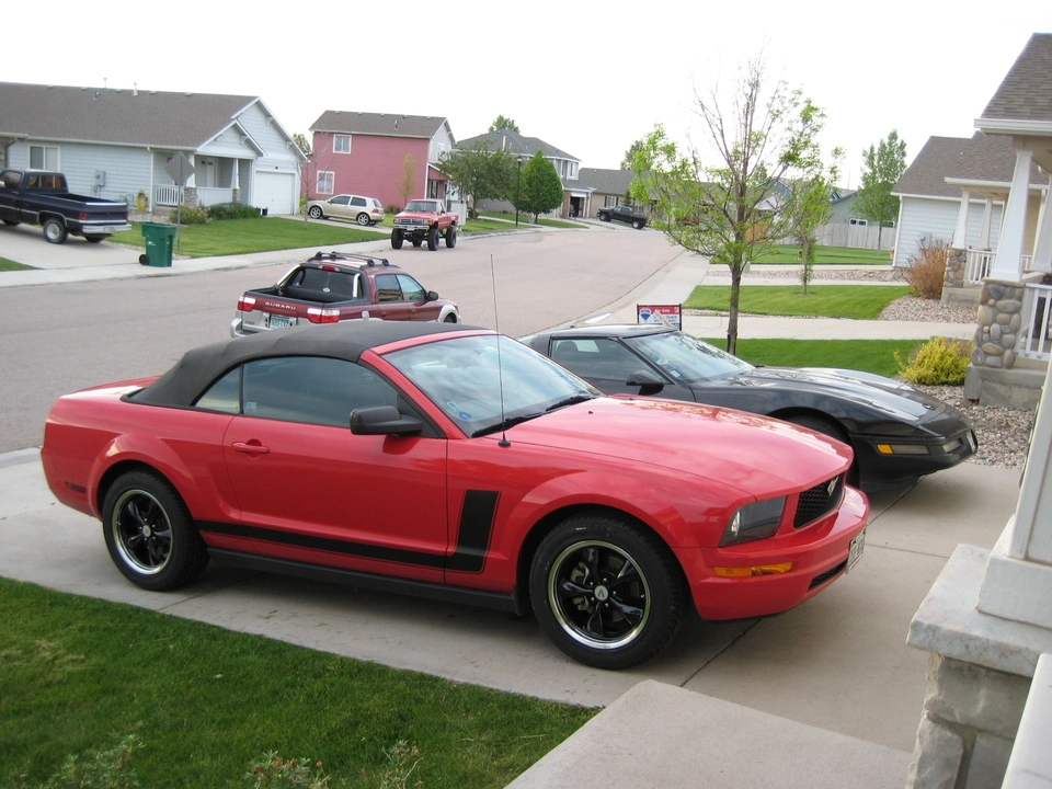 mustang004.webp