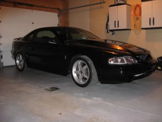 Mustang004.webp