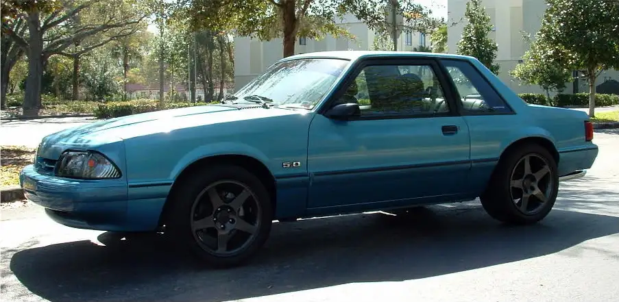 Mustang004.webp