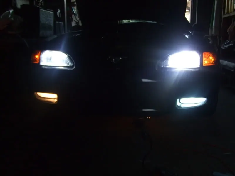 mustang004.webp