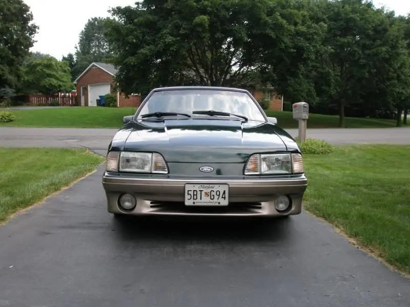 Mustang004.webp