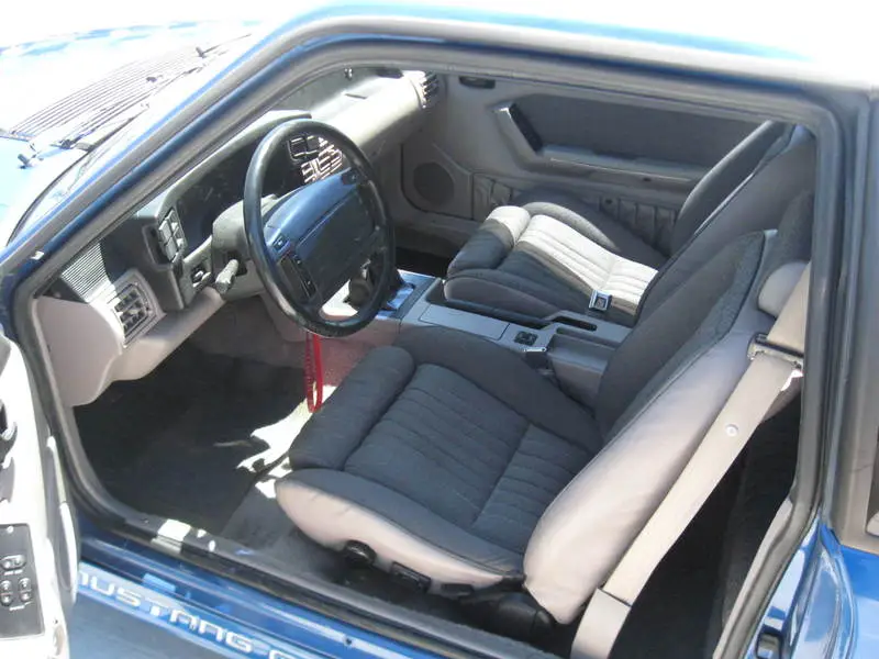 mustang004.webp