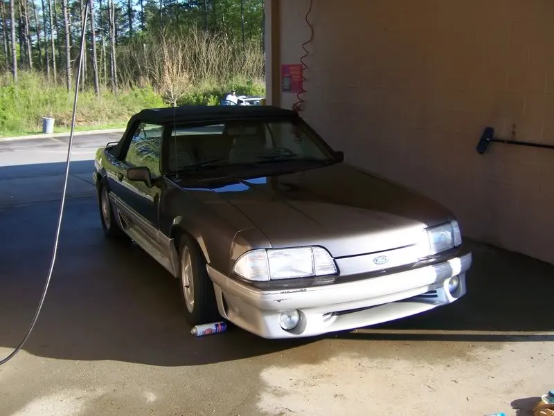 mustang004.webp