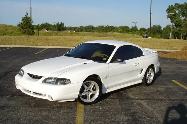 mustang004.webp