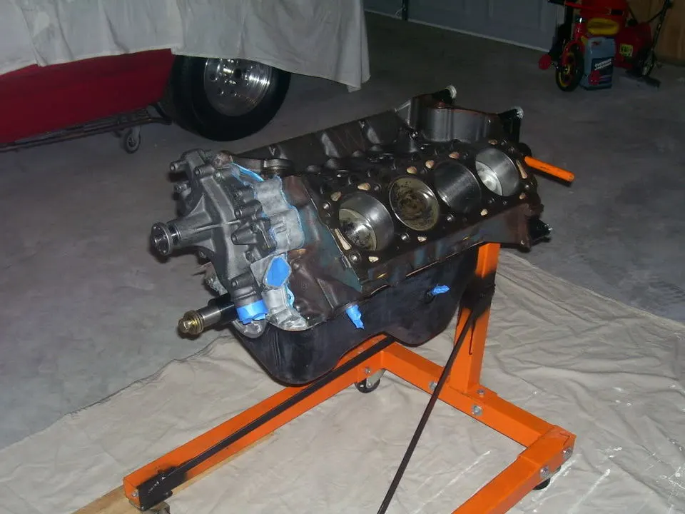 mustang004.webp