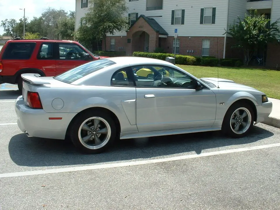 mustang004.webp