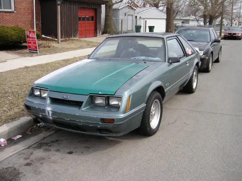 mustang004copy.webp