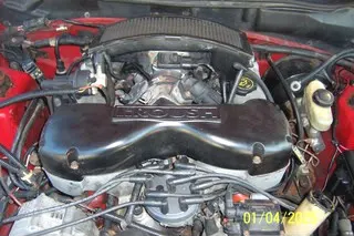mustang005.webp