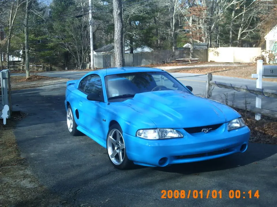 mustang005.webp