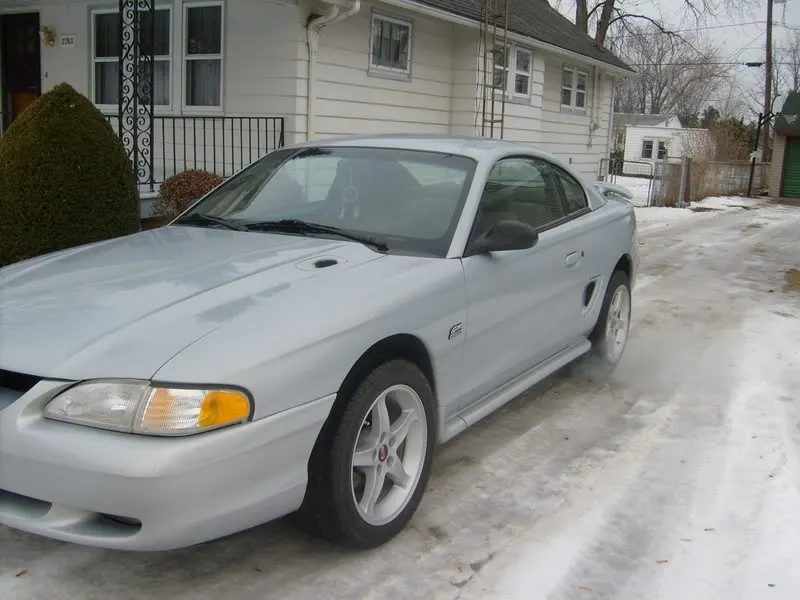 Mustang005.webp