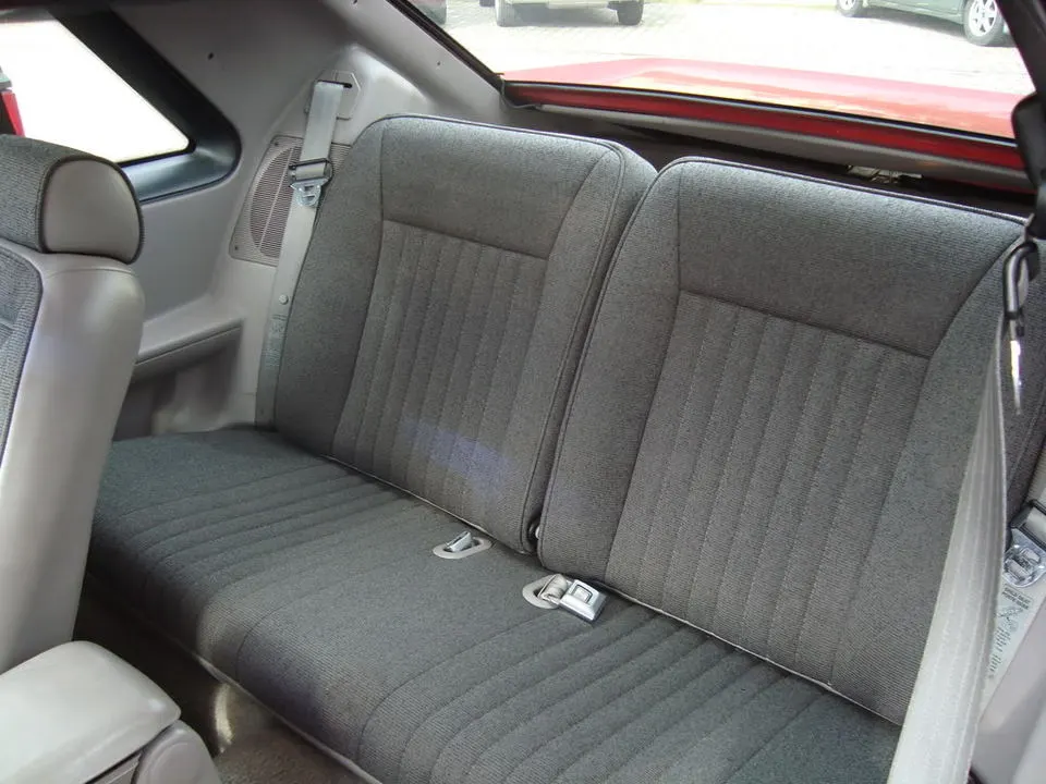 mustang005.webp