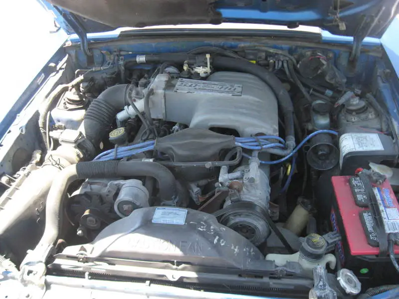 mustang005.webp