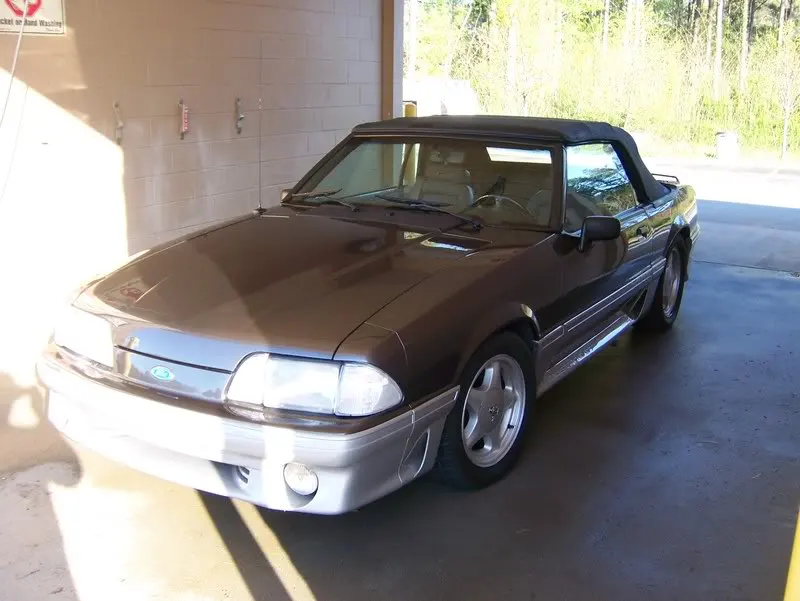 mustang005.webp