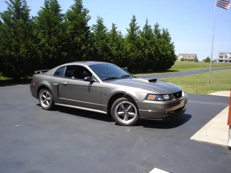 Mustang005.webp