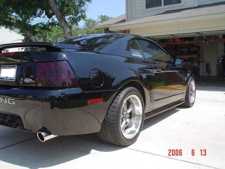 Mustang005.webp