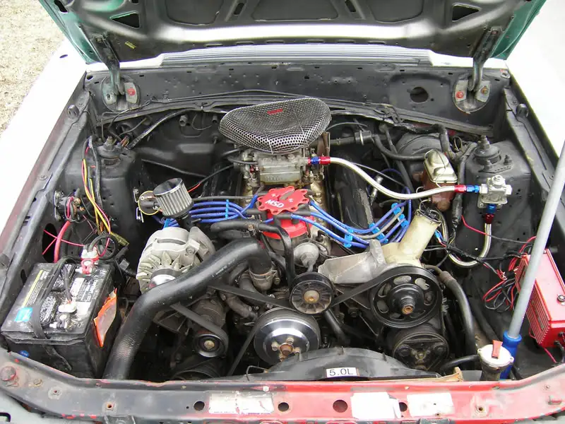 mustang005copy.webp