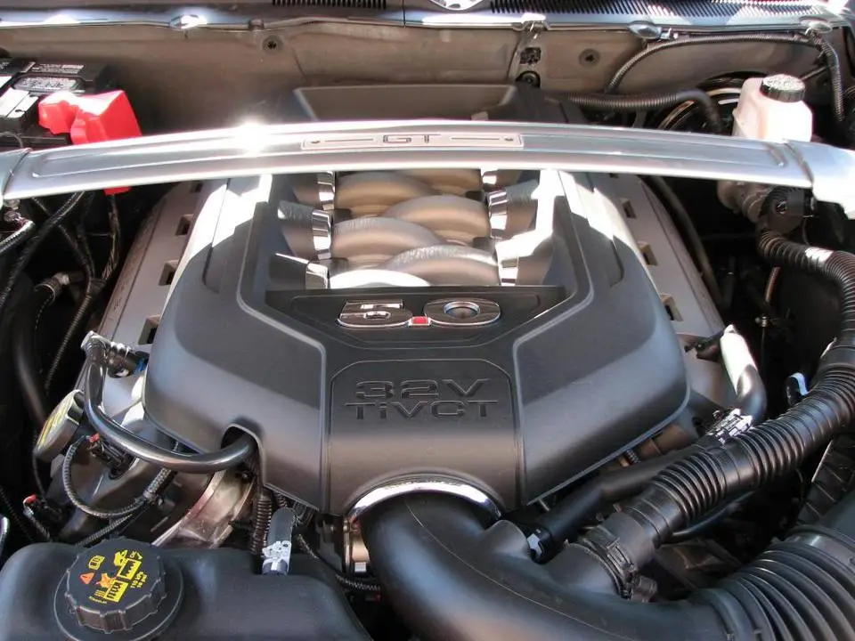 Mustang006.webp