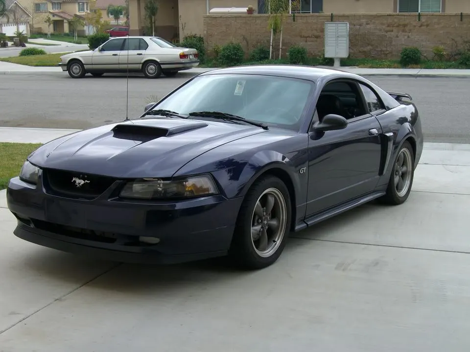 Mustang006.webp