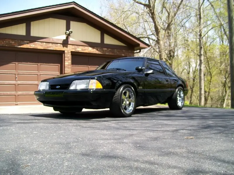 Mustang006.webp