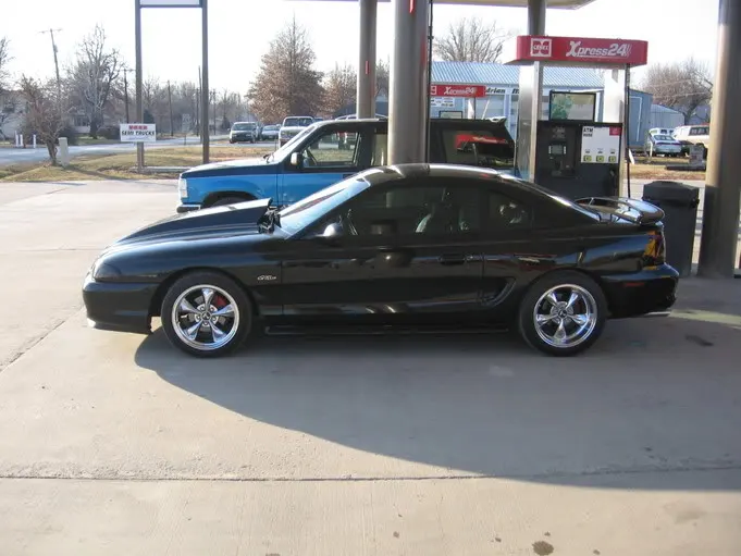 mustang006.webp