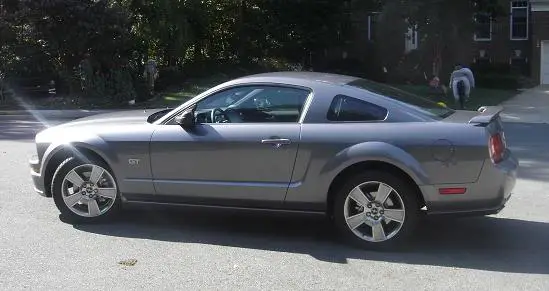 mustang006c.webp