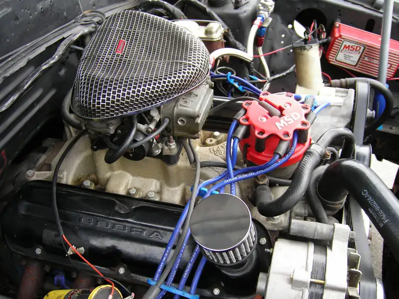 mustang006copy.webp
